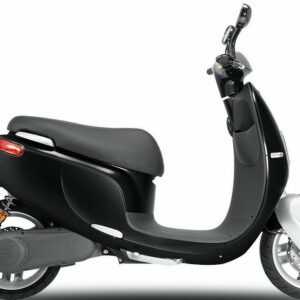 SAXXX E-Motorroller »Ecooter E1S«, 45 km/h