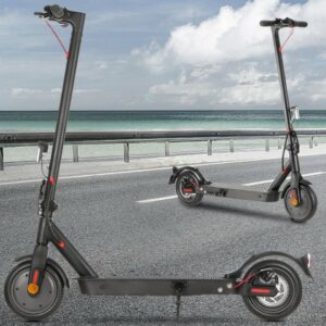 LETGOSPT E-Scooter »E-Scooter mit Straßenzulassung Elektro Scooter ABE Alu Elektroroller«, 350,00 W, 20,00 km/h, Faltbar Roller EScooter eKFV, 30km…